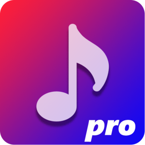 PlayerPro Music Player Crack v5.35 With Keygen Free Download